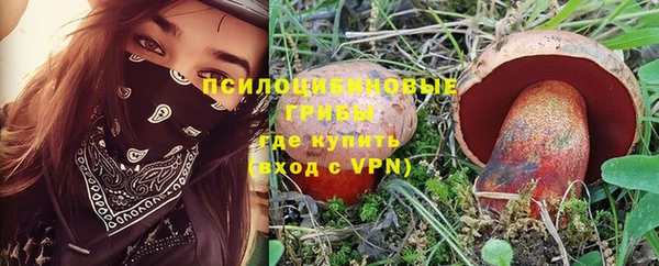 apvp Новодвинск