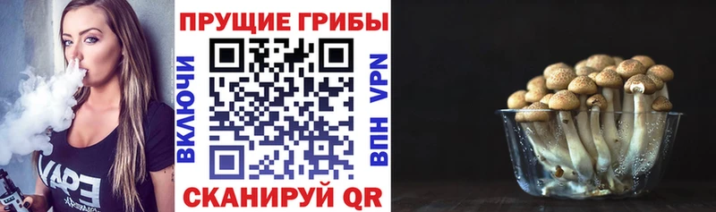 Псилоцибиновые грибы ЛСД  Купить  Урус-Мартан 