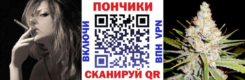 Купить где  Урус-Мартан  Бошки Шишки план 
